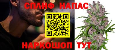 бошки Будённовск