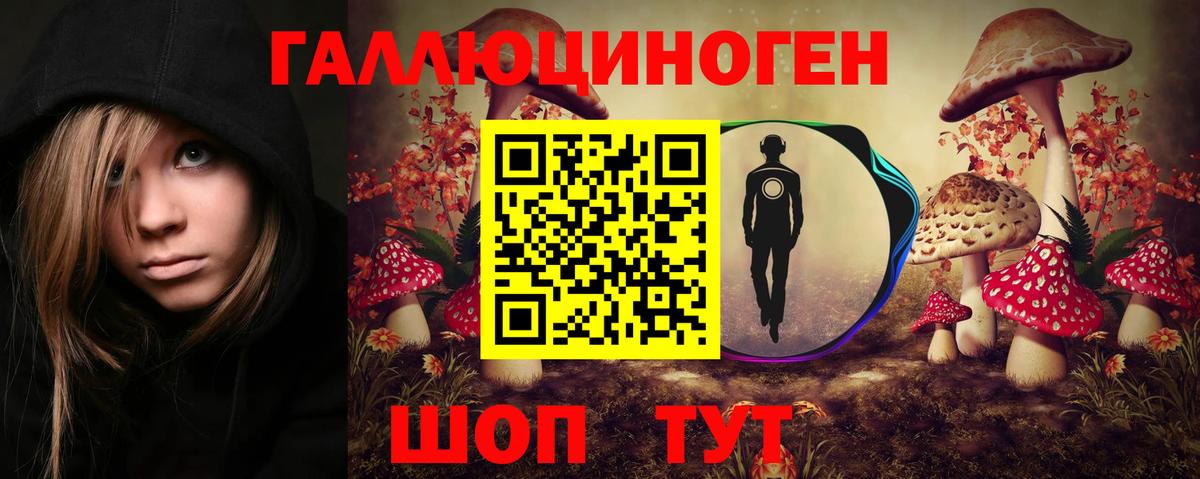 Псилоцибиновые грибы Cubensis  Вход с VPN  Санкт-Петербург 
